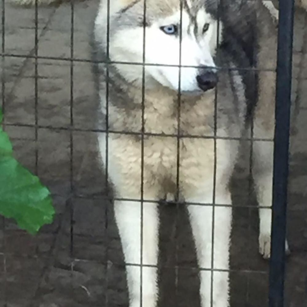 Meet your Posher, Moises